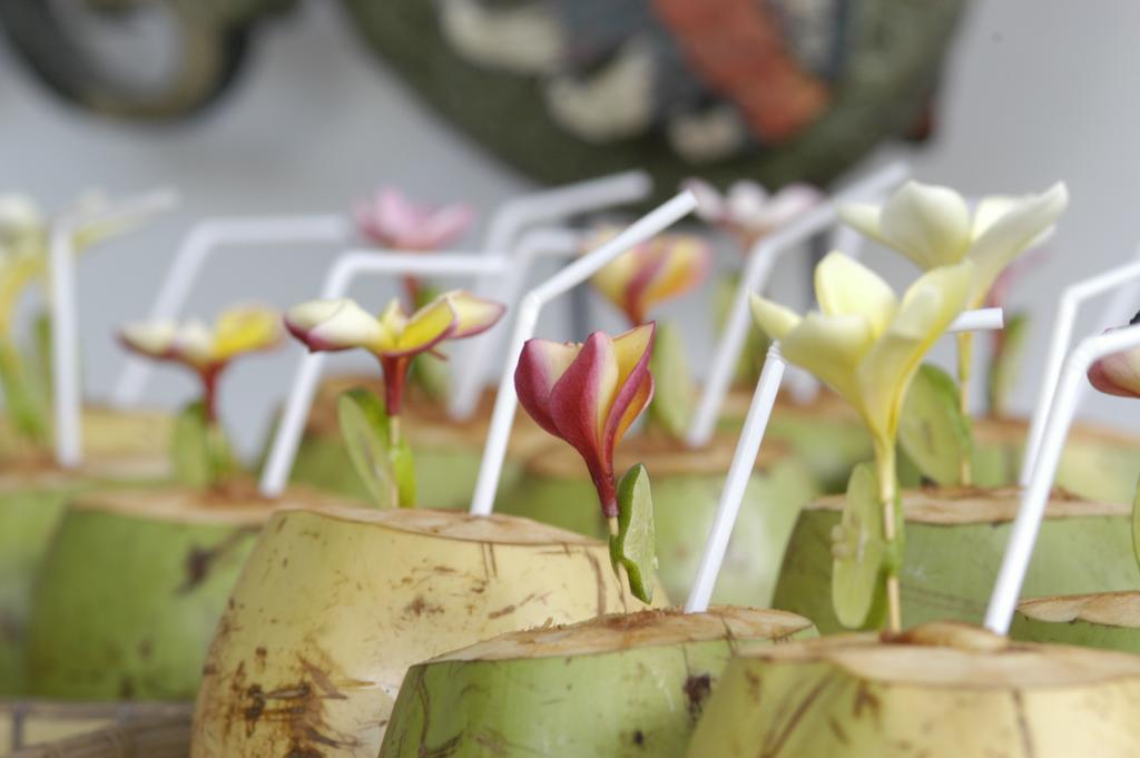 Alami Villa Ubud Eksteriør bilde